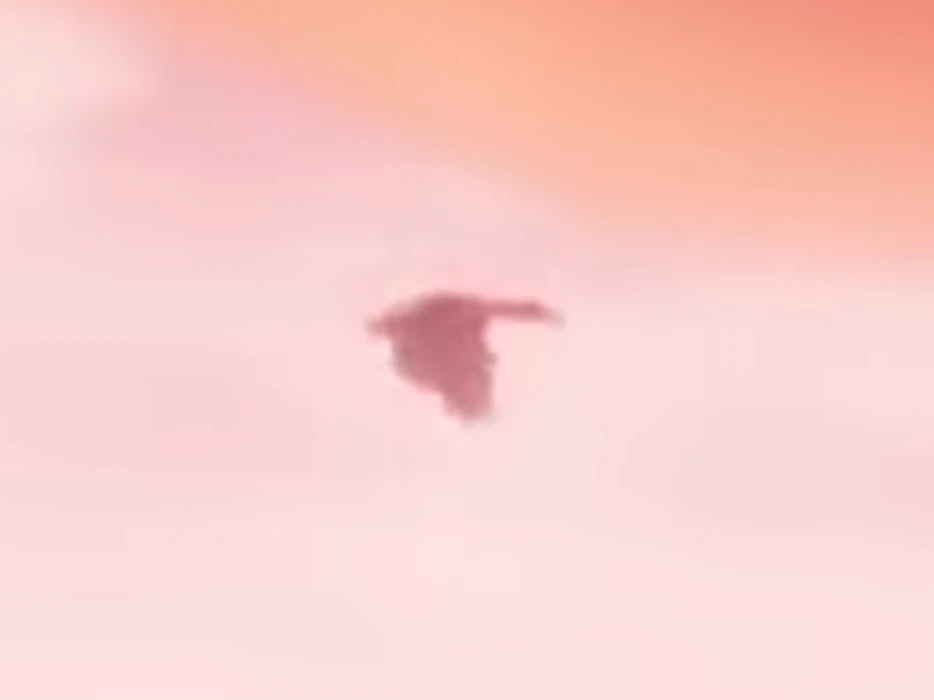 Heron