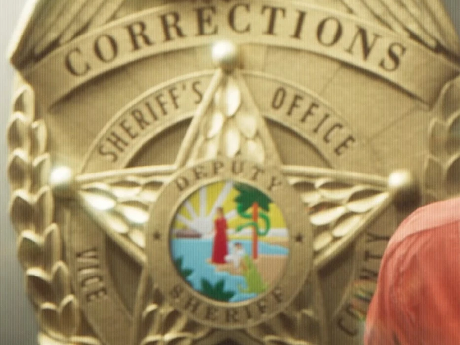 Vice-Dale Police Department