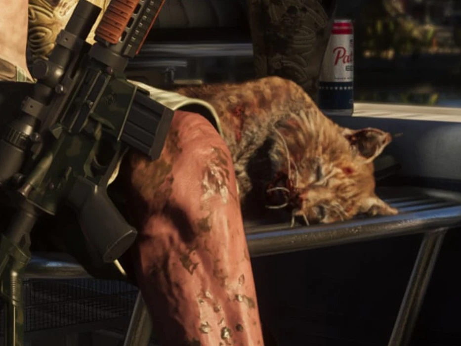 Bobcat